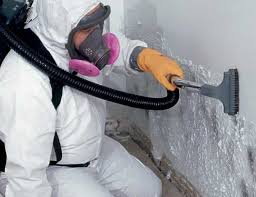 Best Industrial Mold Remediation in Great Neck Plaza, NY